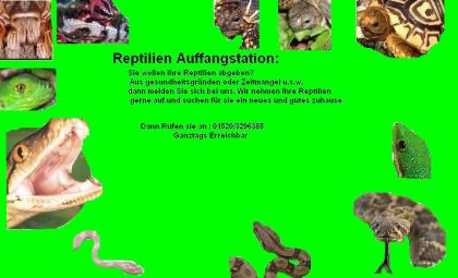 Reptilien Auffangstation Dithmarschen