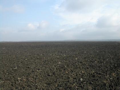 Agrarflächen, Ackerland, Agrarboden, Agrar-immobilien