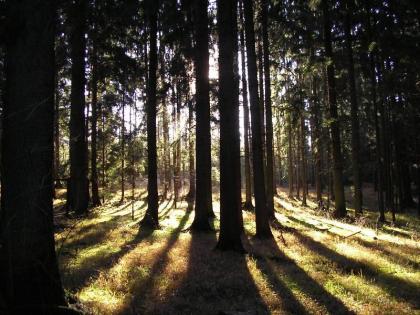 Wanderweg Erzweg