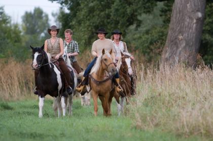 Pferde- Pensionsstall, Ausritte ins Gelände, Offenstall in Naumburg OT Schönburg