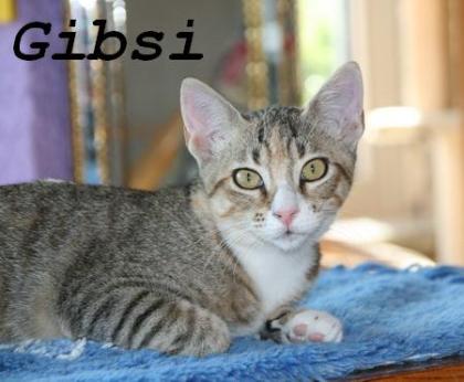 Ginger und Gibsi wollen so gerne ankommen!!!! 