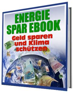 Der Ratgeber: Klima schützen und Geld sparen