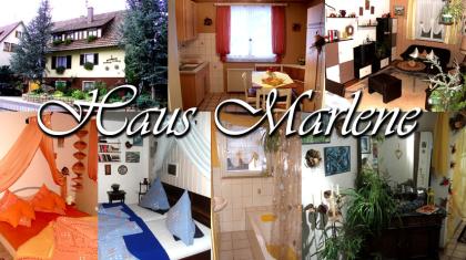 Schwarzwald ! Urlaub in 3 *** Ferienwohnung !