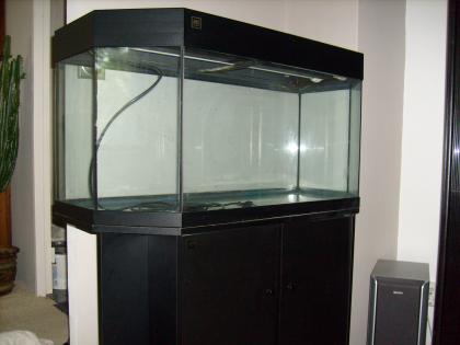 Juwel-Panorama - Aquarium