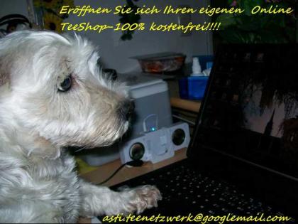Mit Tee und einem genialen Partnerprogramm im Internet Geld verdienen 