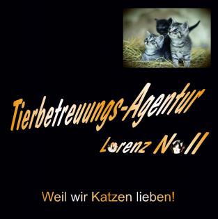 Nebenjob als Katzensitter zu vergeben! Katzenbetreuung - Katzensitting - Tierbet