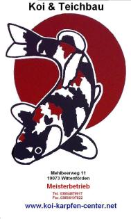Koi   Teichbau