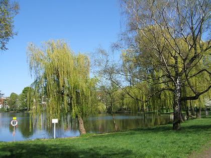 2 Zi.-Whg. am Schäfersee in Berlin/Reinickendorf