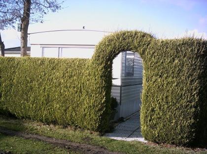 Mobilheim in Renesse zu vermieten +Julianahoeve+