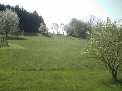 BAUGRUNDSTÜCK IN FRANKREICH (-LOTHRINGEN-)