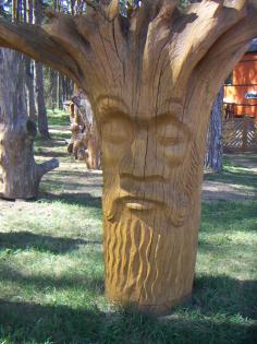 Stimmungsvolle Eiche 