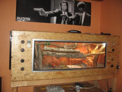 Verkaufe terrarium