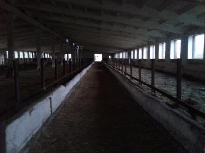 Kapitalanlage, Stallgebäude für Hühner, Schweine , Kühe
