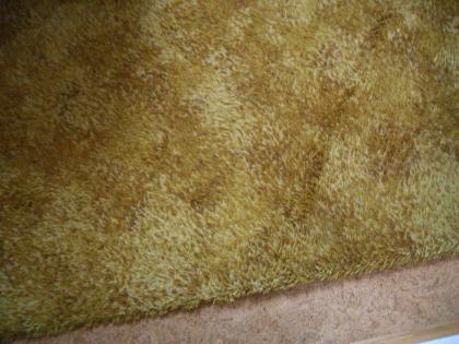 Teppich 2,oox2,9o m