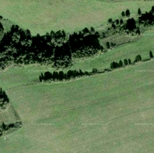 Dach und Freiflaechen , Immobilien,