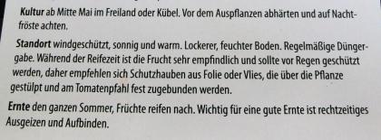 Bio-Tomatenpflanzen zu verkaufen