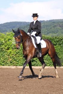 Super schicke Dressurstute