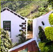 Kanaren-Insel El Hierro - Finca el Sitio