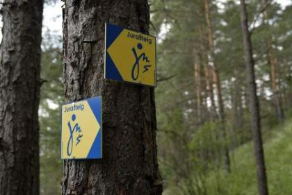 Jurasteig Richtung Kallmünz