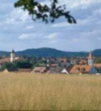 Quellwasser, Bierkeller und Kräutertee