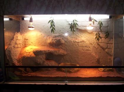 Terrarium mit Zub.Unterschr,Lichtkasten 120x60x80