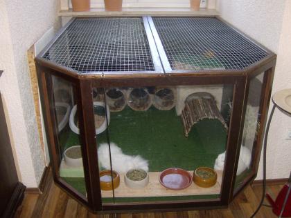2 Kaninchen mit Kaefig und kompl Zubehoer