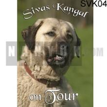 Sivas Kangal Fanartikel