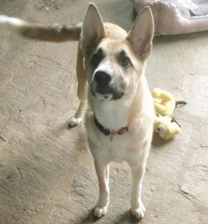 Lolita sucht ein passendes Zuhause