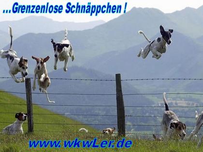 Renovierungsbedürftige Immobilien von wkwler bei   www.wkwler.de  