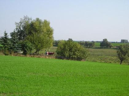 Grundstück in 17291 Uckerfelde