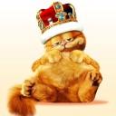 Günstige Handytarife und Datentarife 