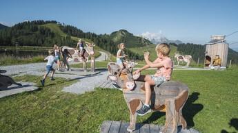 Geführte Themenweg-Wanderung - KUHbidu Donnerstag am Wagrainis Grafenberg