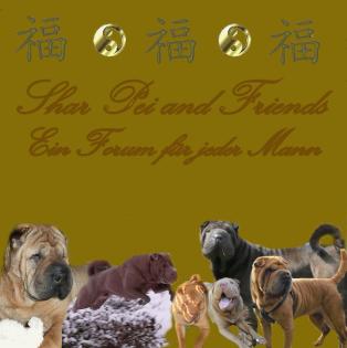 SHAR PEI FORUM FÜR JEDERMANN