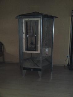 2 Chinchillaböckchen zu Verkaufen mit Käfig und Zubehör 150€ VB.
