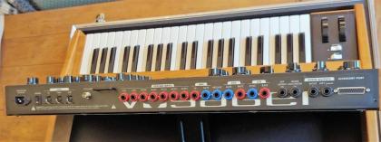 MOOG Minimoog Voyager PSE Walnuss