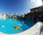 Apartments Flores in Puerto de la Cruz im Norden von Teneriffa 