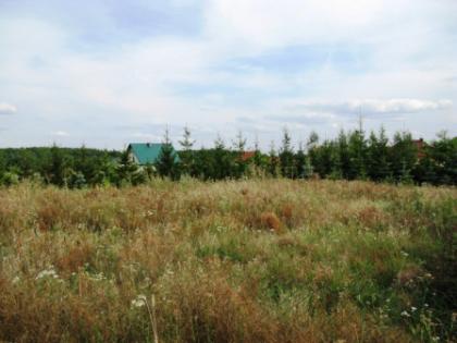 Baugrundstück in Oslonin  in Polen