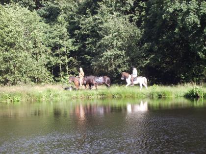 Reiterferien auf Isländerhof in Schleswig-Holstein