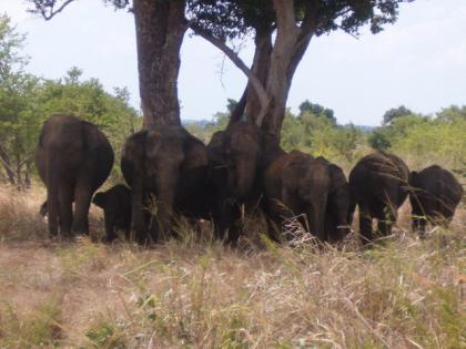   Sri Lanka Unser Top Angebot für den2021, Sommer 