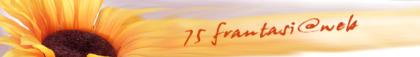 Preisgünstes Webdesign: Webseiten ab 75 EUR ( zzgl.  MwSt)