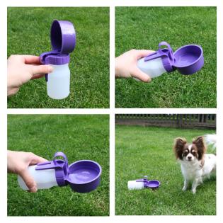 Water Rover, die komfortable Trinkflasche für Ihren Vierbeiner