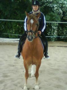 Suche Reitbeteiligung