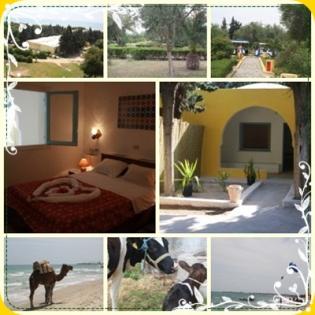 Günstige Bungalows in Tunesien Stadt Hammamet