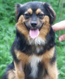 Peki sucht nettes zu hause
