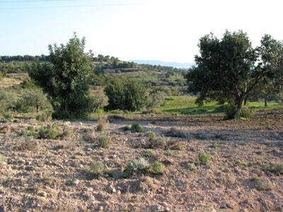 Unser Angebot nahe Porto Heli/Argolida/Griechenland