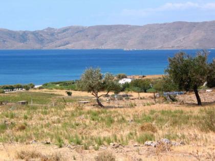 Unser Angebot nahe der Stadt Karystos auf Evia/Griechenland