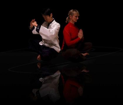 YUSEIDO-FREE KUNG FU & INTENSVE YOGA