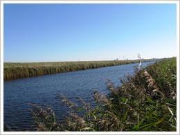 Ferienwohnungen in Hartward an der Nordseeküste
