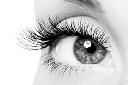 Ausbildung zum XXL Lashes Stylisten-Workshop  semi permanente Wimpernverlängerun