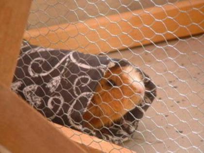 Schöne selbstgenähte Kuschelrollen
